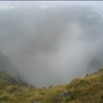 DSC00246.JPG
