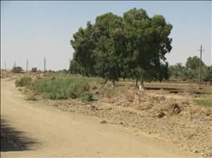 Rieke_onderweg_Farafra-Dakhla_IMG_0578.JPG