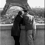 ses (5).JPG