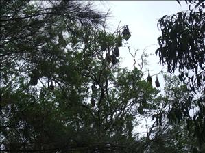 DSCF8594.JPG