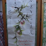DR_LEE