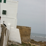 IMG_0459.JPG