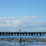 DSCF0763.JPG