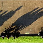 uy (10).JPG