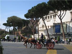 roma 032.jpg
