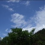 DSCF0454.JPG
