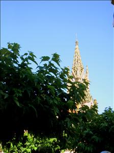 san09.jpg