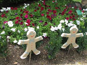 IMG_2170_filtered.jpg