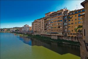 IMG_7978.jpg