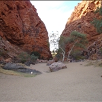 DSC00253.JPG