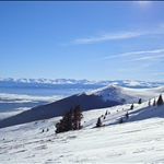 Vitosha