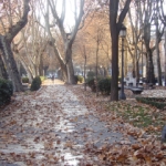 01899759.jpg