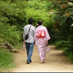 Ajisai path 