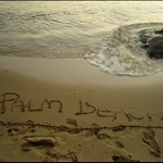 palm beach trip