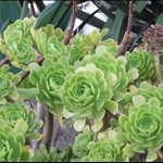 DSCF5491.JPG