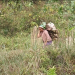 P2082456.JPG