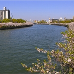 Sakuranomiya, Okawa River