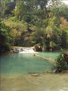 SDC12984.JPG