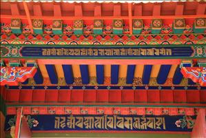 IMG_4649resized.JPG