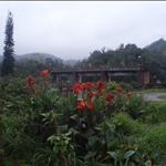 Munnar - South India