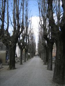 milano new 052.jpg