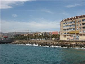 IMG_3345.JPG