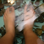 DSCN2445.JPG