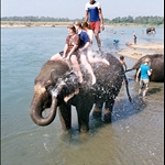 Sophie, Suzanne & me, Chitwan