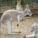 DSC00221.JPG