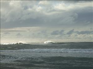 DSCF1790.JPG