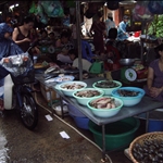 Hanoi - Fernando López