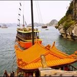 in the Halong Bay