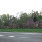 IMG_1099.JPG