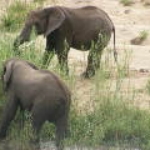 2008_0324SouthAfrica0007.JPG