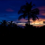 Phuket Crisis