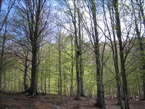 alpi apuane 048.jpg
