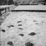 20090818_01