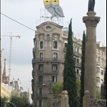 the owl watches us all...
