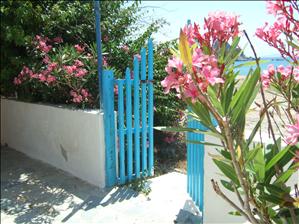 Near to the Sacallis Hotel, Kefalos Bay