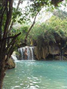 SDC12987.JPG