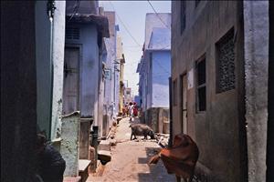 Jaisalmer - Soul India