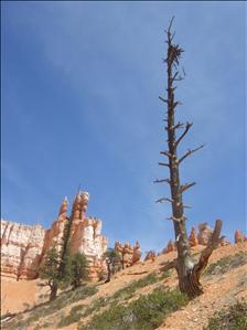 Bryce Canyon National Park, Utah