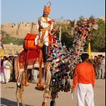 Camel show, Jaisalmer