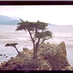 Monterey, 17 miles, Carmel