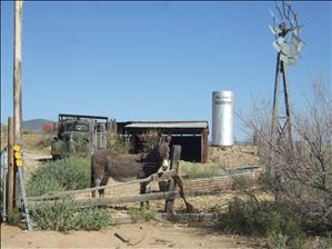 Hackberry, Arizona