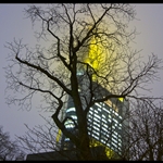 Frankfurt