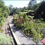 Kuranda