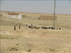 Rieke_onderweg_Farafra-Dakhla_IMG_0579.JPG