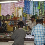 Munnar - South India