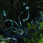 one of many GLASS sculptures on exhibit at the Gardens, St. Louis, Missouri, U.S.